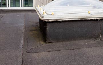 disadvantages of Eaton Constantine flat roofs