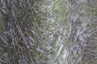 Eaton Constantine fibreglass roof work